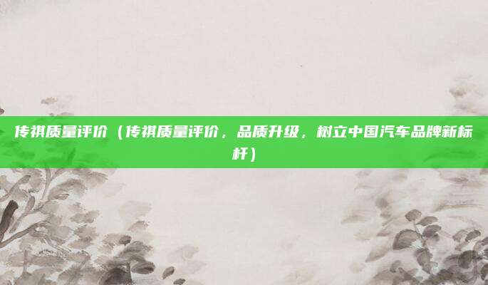 传祺质量评价(传祺质量评价,品质升级,树立中国汽车品牌新标杆)
