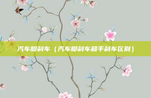 汽车脚刹车(汽车脚刹车和手刹车区别)