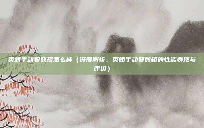 英朗手动变数箱怎么样(深度解析,英朗手动变数箱的性能表现与评价)