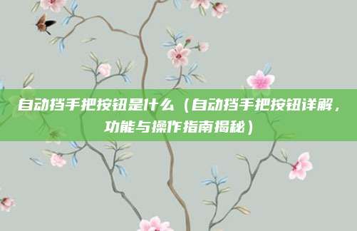 自动挡手把按钮是什么(自动挡手把按钮详解,功能与操作指南揭秘)