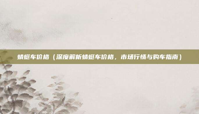 蜻蜓车价格(深度解析蜻蜓车价格,市场行情与购车指南)