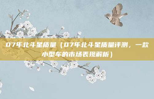 07年北斗星质量(07年北斗星质量评测,一款小型车的市场表现解析)