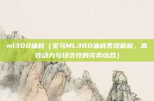 ml300油耗(宝马ML300油耗表现解析,高效动力与经济性的完美结合)