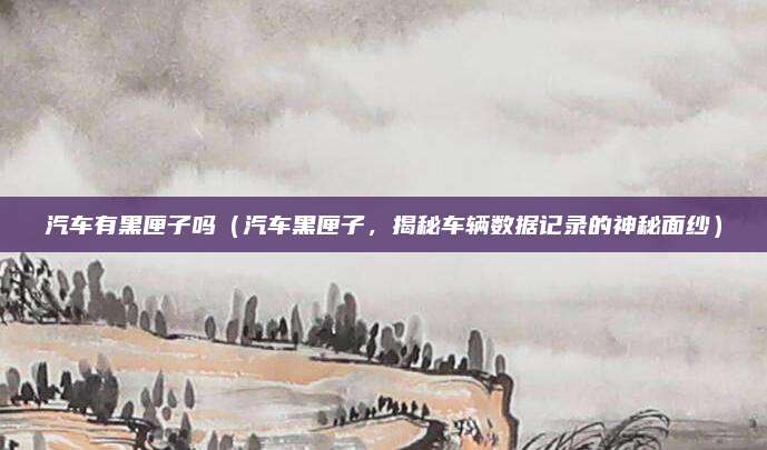 汽车有黑匣子吗(汽车黑匣子,揭秘车辆数据记录的神秘面纱)