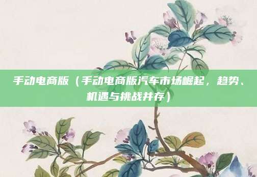 手动电商版(手动电商版汽车市场崛起,趋势、机遇与挑战并存)