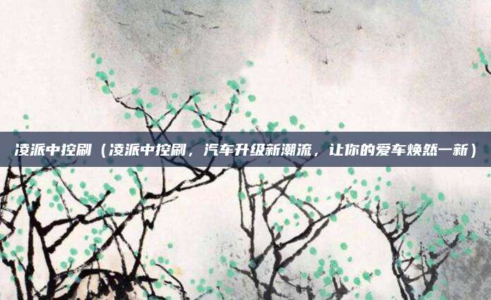 凌派中控刷（凌派中控刷，汽车升级新潮流，让你的爱车焕然一新）