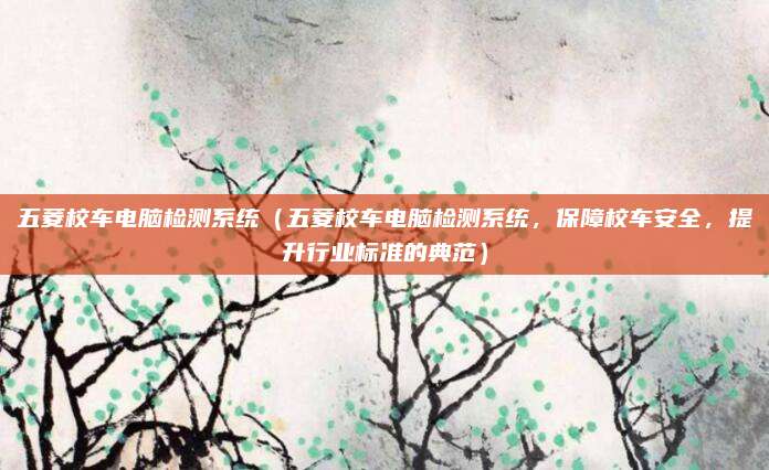 五菱校车电脑检测系统(五菱校车电脑检测系统,保障校车安全,提升行业标准的典范)