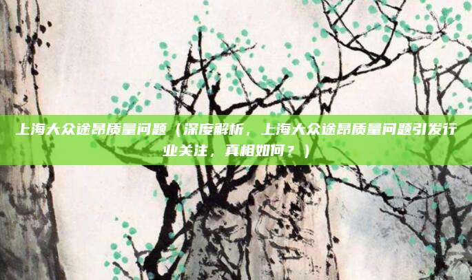 上海大众途昂质量问题(深度解析,上海大众途昂质量问题引发行业关注,真相如何?)