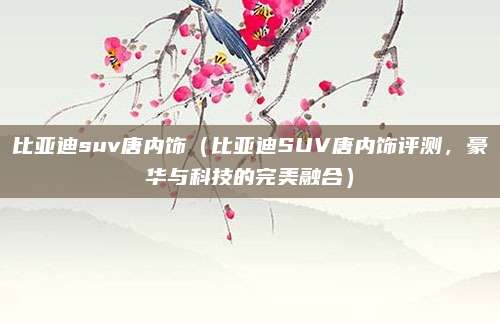 比亚迪suv唐内饰(比亚迪SUV唐内饰评测,豪华与科技的完美融合)