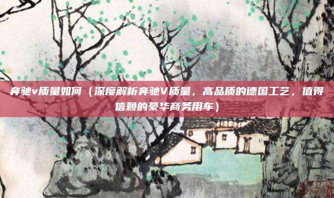 奔驰v质量如何(深度解析奔驰V质量,高品质的德国工艺,值得信赖的豪华商务用车)