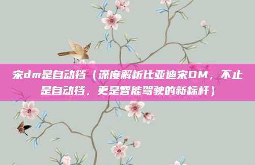 宋dm是自动挡(深度解析比亚迪宋DM,不止是自动挡,更是智能驾驶的新标杆)