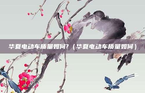 华夏电动车质量如何?(华夏电动车质量如何)