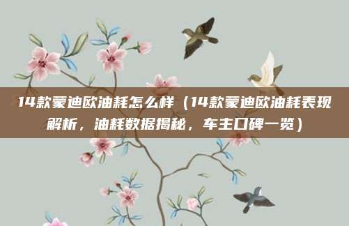 14款蒙迪欧油耗怎么样(14款蒙迪欧油耗表现解析,油耗数据揭秘,车主口碑一览)