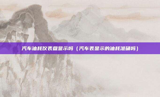 汽车油耗仪表盘显示吗(汽车表显示的油耗准确吗)