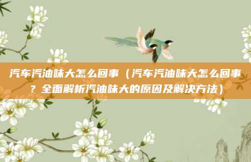汽车汽油味大怎么回事(汽车汽油味大怎么回事?全面解析汽油味大的原因及解决方法)