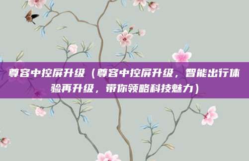 尊容中控屏升级（尊容中控屏升级，智能出行体验再升级，带你领略科技魅力）