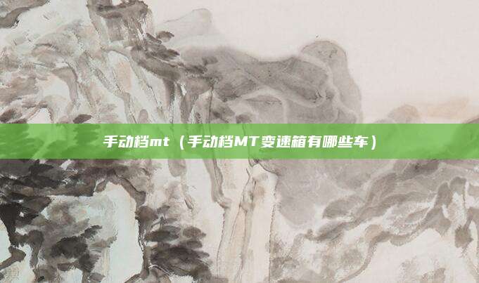 手动档mt(手动档MT变速箱有哪些车)