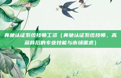 奔驰认证系统技师工资(奔驰认证系统技师,高薪背后的专业技能与市场需求)