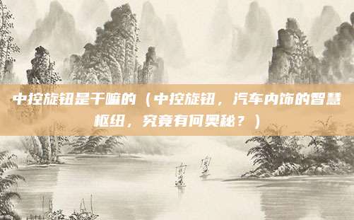 中控旋钮是干嘛的（中控旋钮，汽车内饰的智慧枢纽，究竟有何奥秘？）