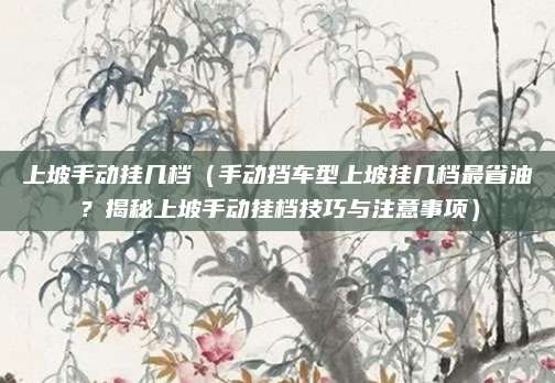 上坡手动挂几档(手动挡车型上坡挂几档最省油?揭秘上坡手动挂档技巧与注意事项)