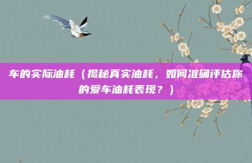 车的实际油耗(揭秘真实油耗,如何准确评估你的爱车油耗表现?)