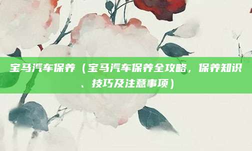 宝马汽车保养(宝马汽车保养全攻略,保养知识、技巧及注意事项)