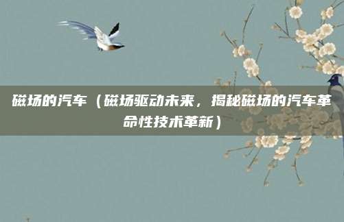 磁场的汽车(磁场驱动未来,揭秘磁场的汽车革命性技术革新)