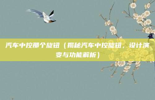 汽车中控那个旋钮(揭秘汽车中控旋钮,设计演变与功能解析)
