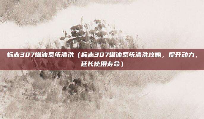 标志307燃油系统清洗(标志307燃油系统清洗攻略,提升动力,延长使用寿命)
