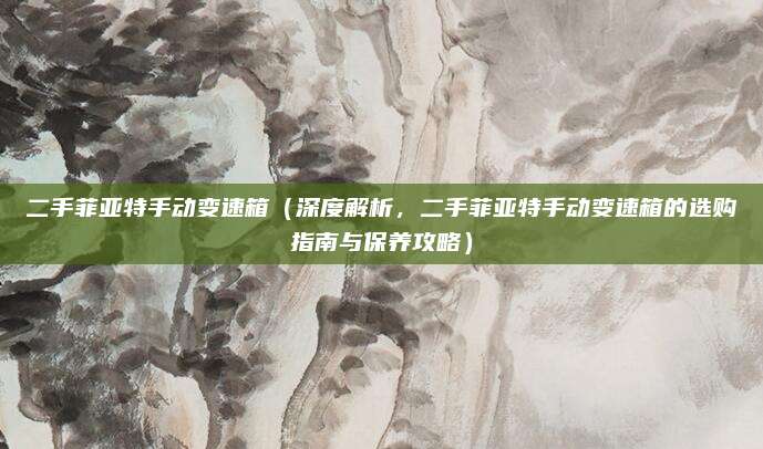 二手菲亚特手动变速箱（深度解析，二手菲亚特手动变速箱的选购指南与保养攻略）