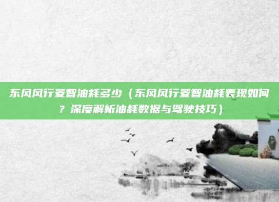东风风行菱智油耗多少(东风风行菱智油耗表现如何?深度解析油耗数据与驾驶技巧)