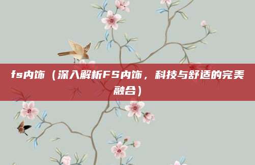 fs内饰(深入解析FS内饰,科技与舒适的完美融合)