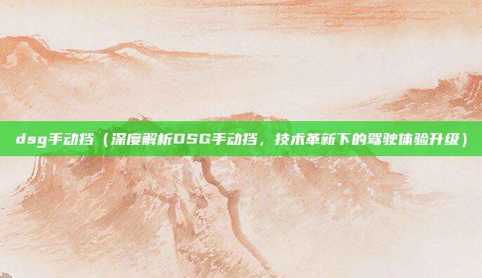 dsg手动挡（深度解析DSG手动挡，技术革新下的驾驶体验升级）