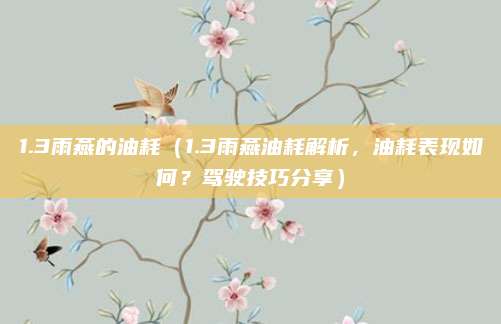 1.3雨燕的油耗(1.3雨燕油耗解析,油耗表现如何?驾驶技巧分享)