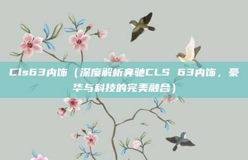 Cls63内饰(深度解析奔驰CLS 63内饰,豪华与科技的完美融合)