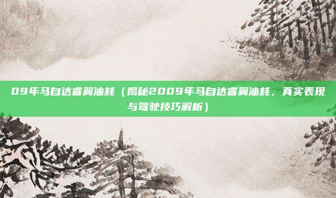 09年马自达睿翼油耗（揭秘2009年马自达睿翼油耗，真实表现与驾驶技巧解析）