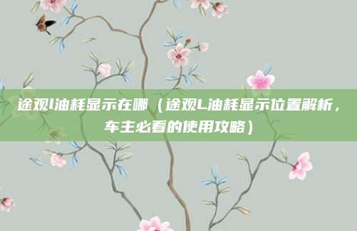 途观l油耗显示在哪(途观L油耗显示位置解析,车主必看的使用攻略)