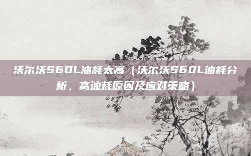 沃尔沃S60L油耗太高(沃尔沃S60L油耗分析,高油耗原因及应对策略)