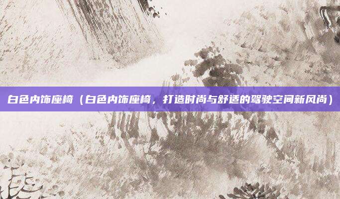白色内饰座椅(白色内饰座椅,打造时尚与舒适的驾驶空间新风尚)