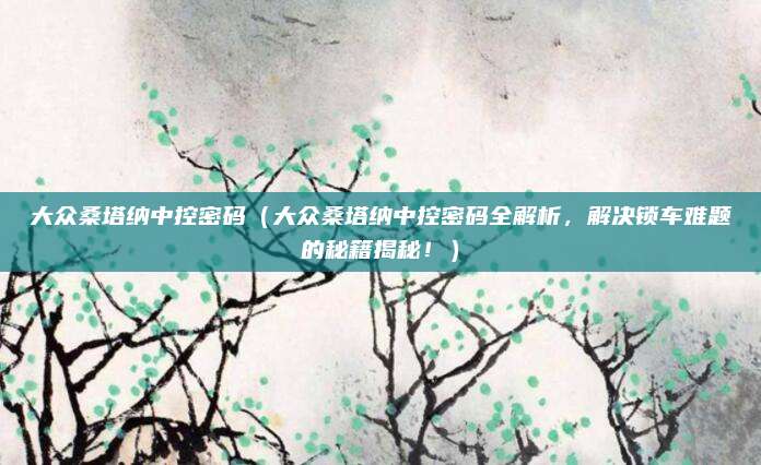 大众桑塔纳中控密码(大众桑塔纳中控密码全解析,解决锁车难题的秘籍揭秘!)