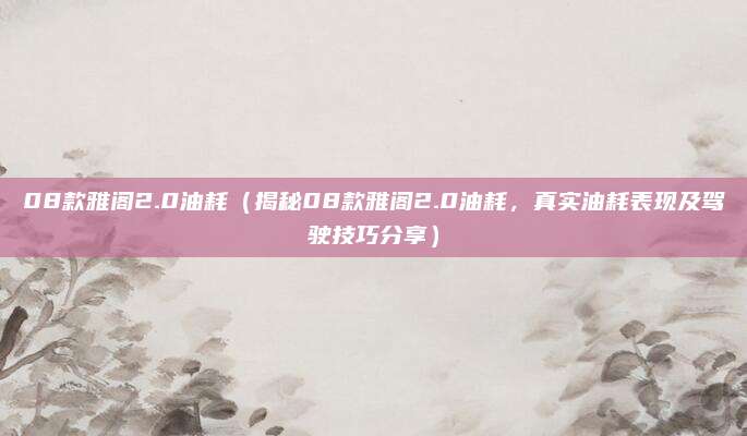 08款雅阁2.0油耗(揭秘08款雅阁2.0油耗,真实油耗表现及驾驶技巧分享)