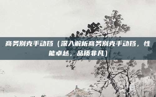 商务别克手动挡(深入解析商务别克手动挡,性能卓越,品质非凡)