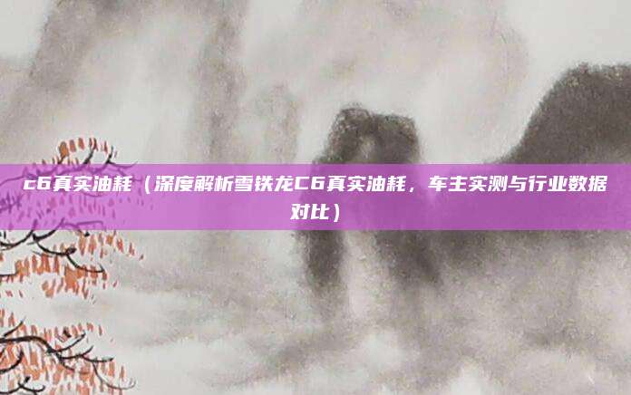 c6真实油耗（深度解析雪铁龙C6真实油耗，车主实测与行业数据对比）