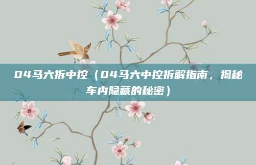 04马六拆中控（04马六中控拆解指南，揭秘车内隐藏的秘密）