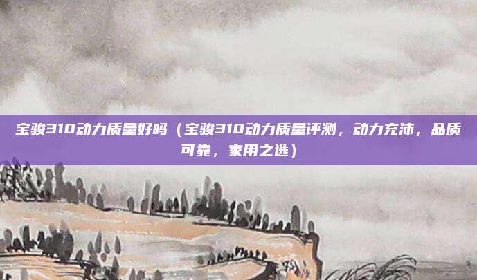 宝骏310动力质量好吗(宝骏310动力质量评测,动力充沛,品质可靠,家用之选)