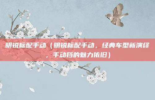 明锐标配手动(明锐标配手动,经典车型新演绎,手动挡的魅力依旧)