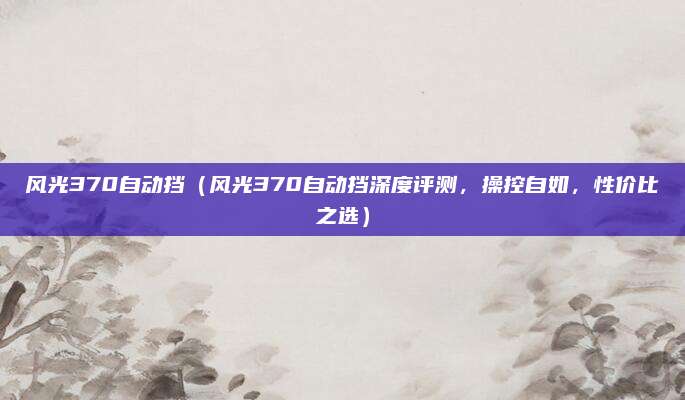 风光370自动挡(风光370自动挡深度评测,操控自如,性价比之选)