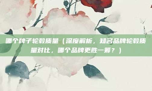 哪个牌子轮毂质量（深度解析，知名品牌轮毂质量对比，哪个品牌更胜一筹？）