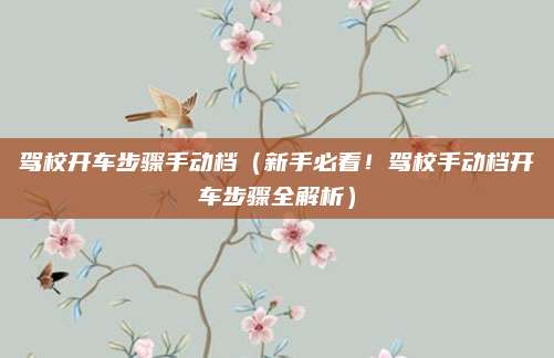 驾校开车步骤手动档(新手必看!驾校手动档开车步骤全解析)