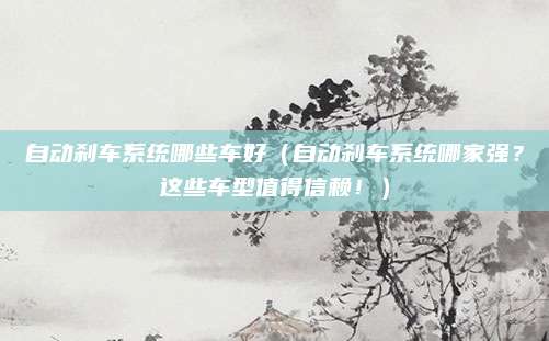 自动刹车系统哪些车好(自动刹车系统哪家强?这些车型值得信赖!)